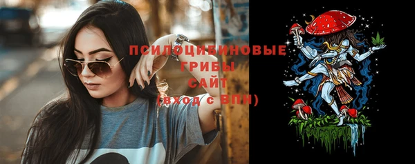 хмурый Гусь-Хрустальный