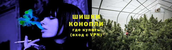 ГАЛЛЮЦИНОГЕННЫЕ ГРИБЫ Гусев