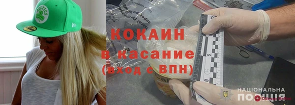 хмурый Гусь-Хрустальный