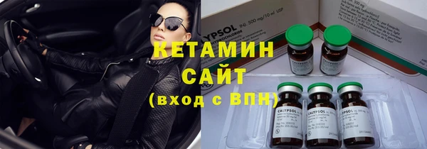 хмурый Гусь-Хрустальный