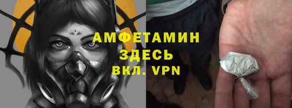 ГАЛЛЮЦИНОГЕННЫЕ ГРИБЫ Гусев