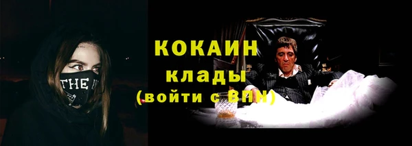 ГАЛЛЮЦИНОГЕННЫЕ ГРИБЫ Гусев
