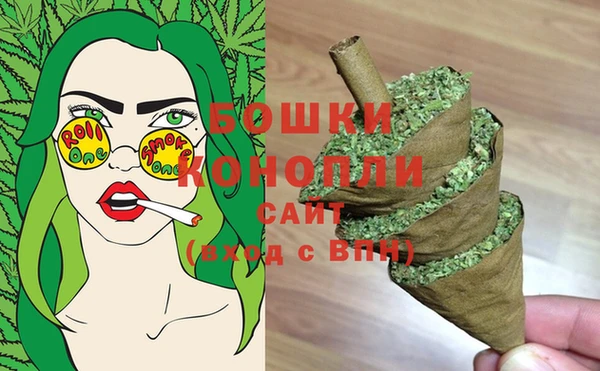хмурый Гусь-Хрустальный