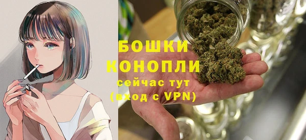 хмурый Гусь-Хрустальный