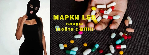 ГАЛЛЮЦИНОГЕННЫЕ ГРИБЫ Гусев