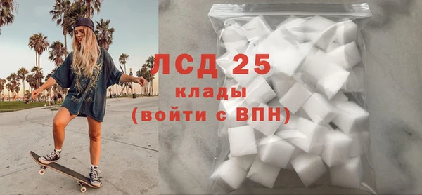 хмурый Гусь-Хрустальный